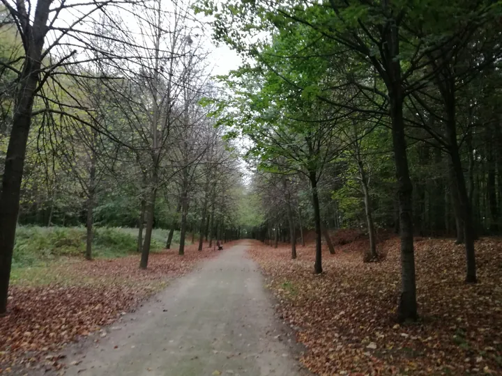 Gaasbeek + Kasteel van Gaasbeek (Lennik, België)